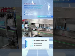 mesin pengemasan kotak naaisi