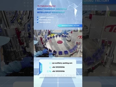 Huida shengwu mengisi meja putar